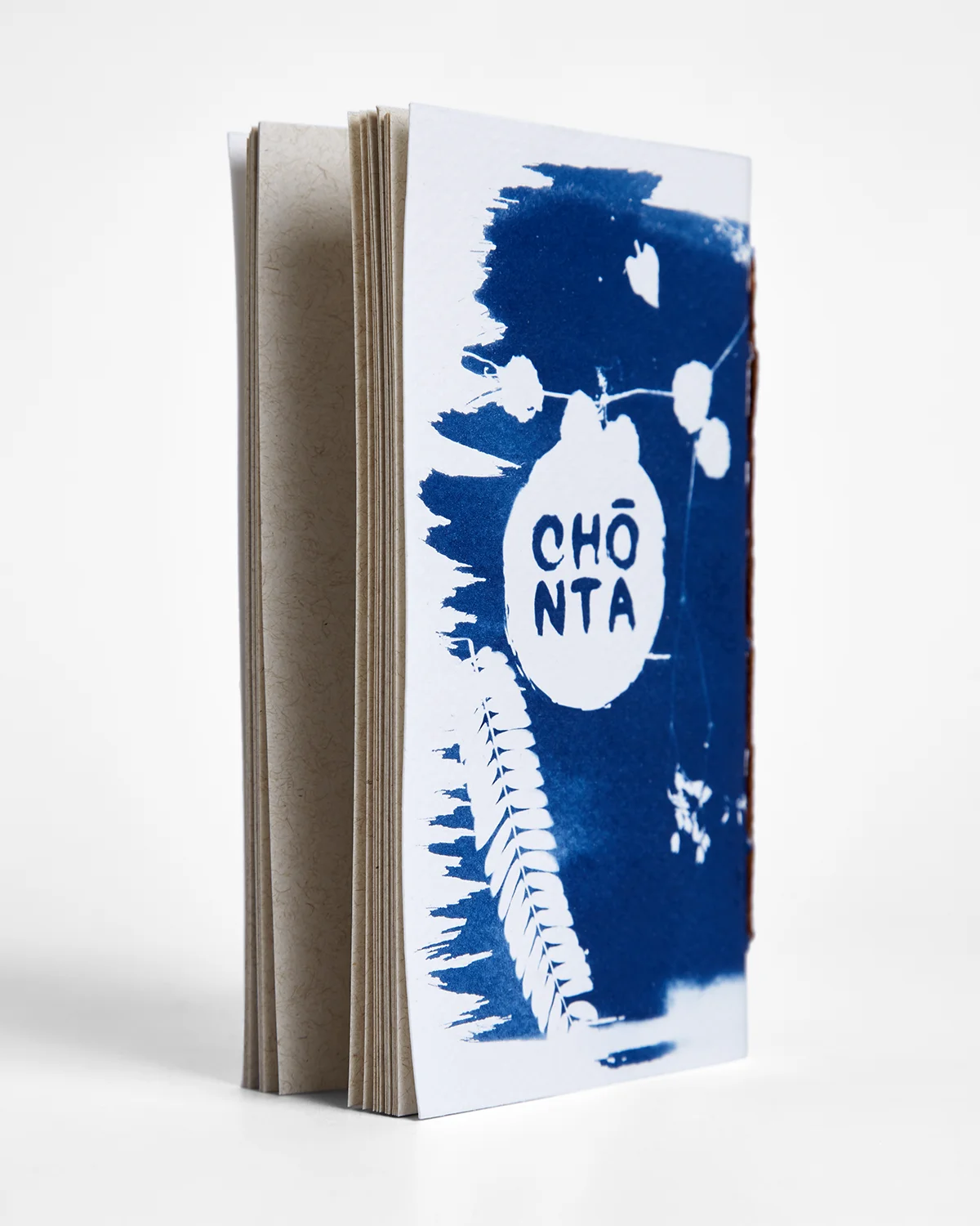 Libreta cianotipia serie Puertas interior 3